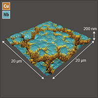 FusionScope AFM with EDS