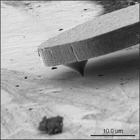 FusionScope AFM with SEM