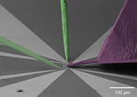 Combining FusionScope and Kleindiek Micromanipulators