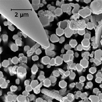 FusionScope App Note: Correlative Characterization of Nanowires Using FusionScope®