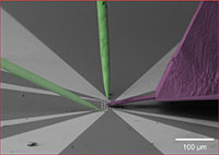 A Novel Tool for Combined AFM, SEM, and Electrical Probing of Nanostructures