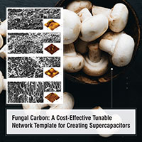 Fungal Carbon: A Cost-Effective Tunable Network Template for Creating Supercapacitors