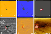 In Situ AFM-SEM-EDS, a Correlative Microscopy Platform for Surface Characterization and Elemental Analysis
