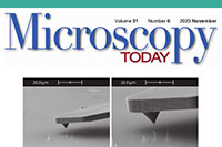 A Highly Integrated AFM-SEM Correlative Analysis Platform