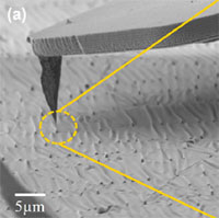Self-Restoration of a Wrinkled Hf0.5Zr0.5O2 Ferroelectric Membrane