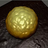 Correlative Analysis of Nanoparticles