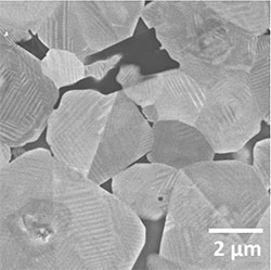 (Figure 1) SEM image of BaTiO3 ceramic showing different grain boundaries.