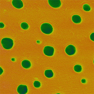 (Figure 2) Corresponding stiffness measured with FIRE mode of two component polymer sample (polystyrene and polyolefin elastomer).