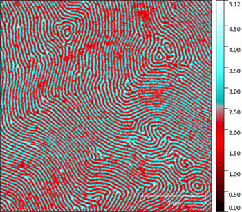 (Figure 2) Magnetic Force Microscopy (MFM) of the same area.