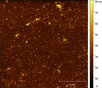 (Figure 1) AFM topography image (dynamic mode) of a multilayer Pt/Co/Ta sample.