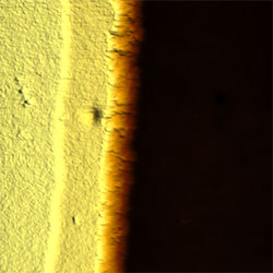 (Figure 2) AFM topography image of electrode structure.