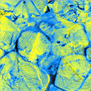 (Figure 3) EFM phase image of BaTiO3 sample (+1.5V).