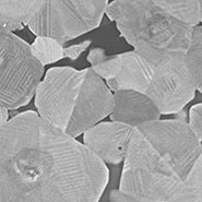 (Figure 1) SEM image of BaTiO3 sample.