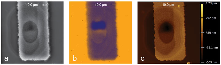 (Figure 2) SEM (a), EDS X-ray (b), and AFM-Topography (c) images of a failure spot. EDS analysis was able to distinguish the Al line and the Si substrate as well as the position of the Al VIA – the dense, purple-colored region at the upper section of the oval feature (b). Additionally, there are slightly brighter yellow regions (equal to higher concentration) around the VIA, indicating a greater Si concentration. This is expected since the Al line is thinner over the VIA (see AFM image). Consistently, a lesser amount of Si signal is detected from the VIA since the top material is Al in this region (b).