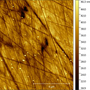 (Figure 3) AFM topography image at duplex steel grain boundary.