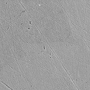 (Figure 2) SEM image of grain boundary on duplex steel.