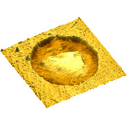 (Figure 3) AFM topography image of freestanding graphene with low force load.