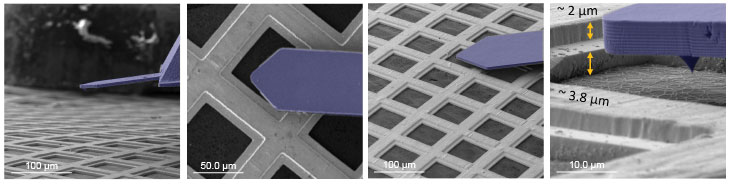 (Figure 1)  Identification and positioning of the AFM tip on plasmonic nanostructures. Profile View allows for the precise localization of the sub-100 nm wide nanowire, enabling an accurate approach of the AFM tip.