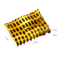 (Figure 3) 3D AFM topography image of diatom surface.