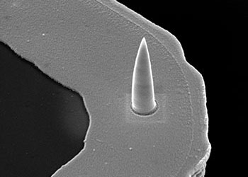 FusionScope Conductive AFM tip