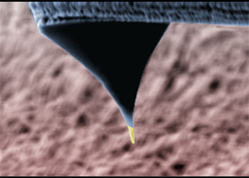 FusionScope FEBID MFM tip